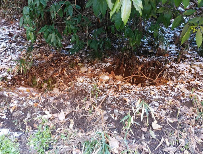 原油高騰から低所得者の生活を守る対策を早急に求める要望書