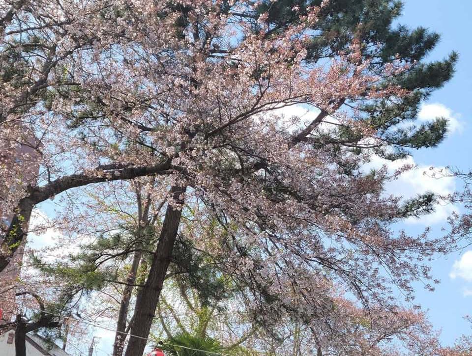 原油高騰から低所得者の生活を守る対策を早急に求める要望書