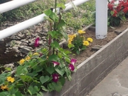 宮城県立こども病院を視察